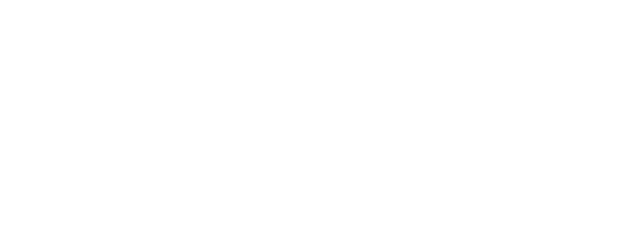 繊細かつ大胆、華やかな造形